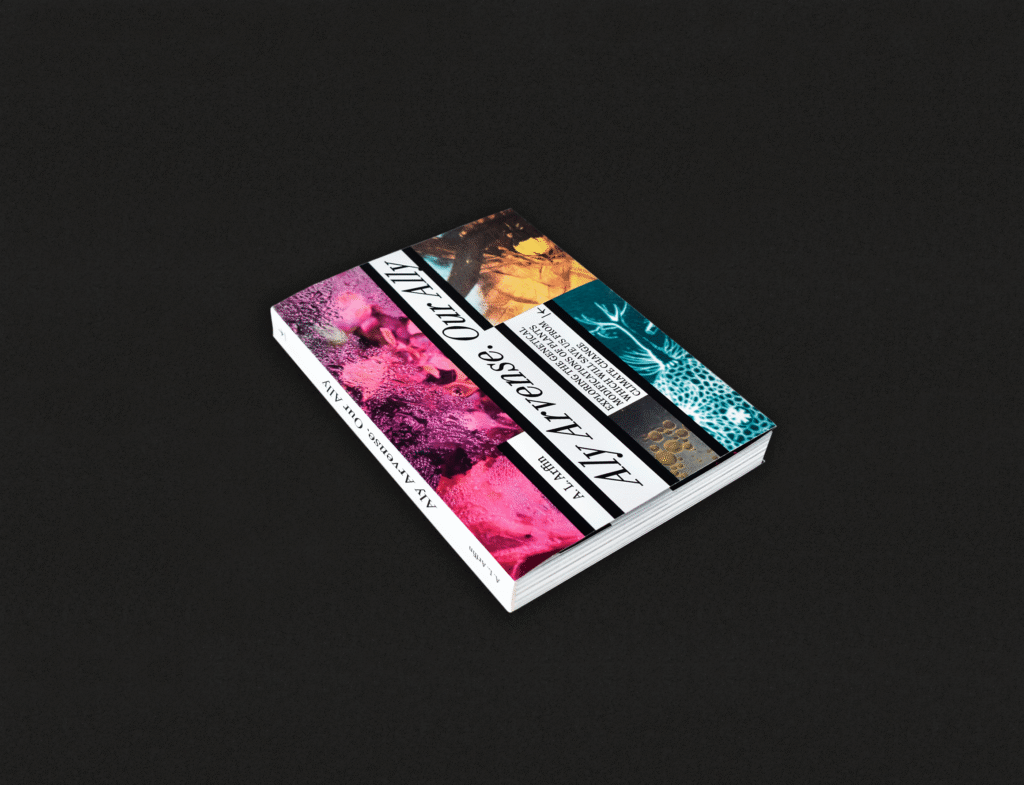 00-ALY_Cover