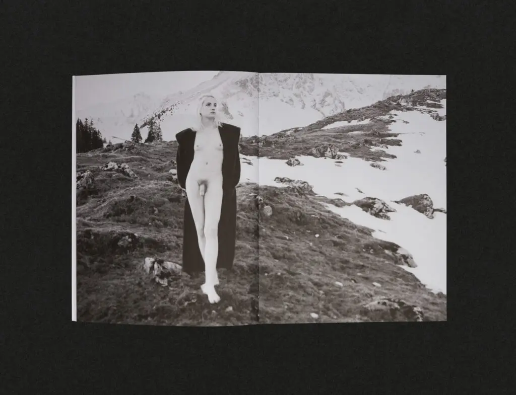 layout_coco_03