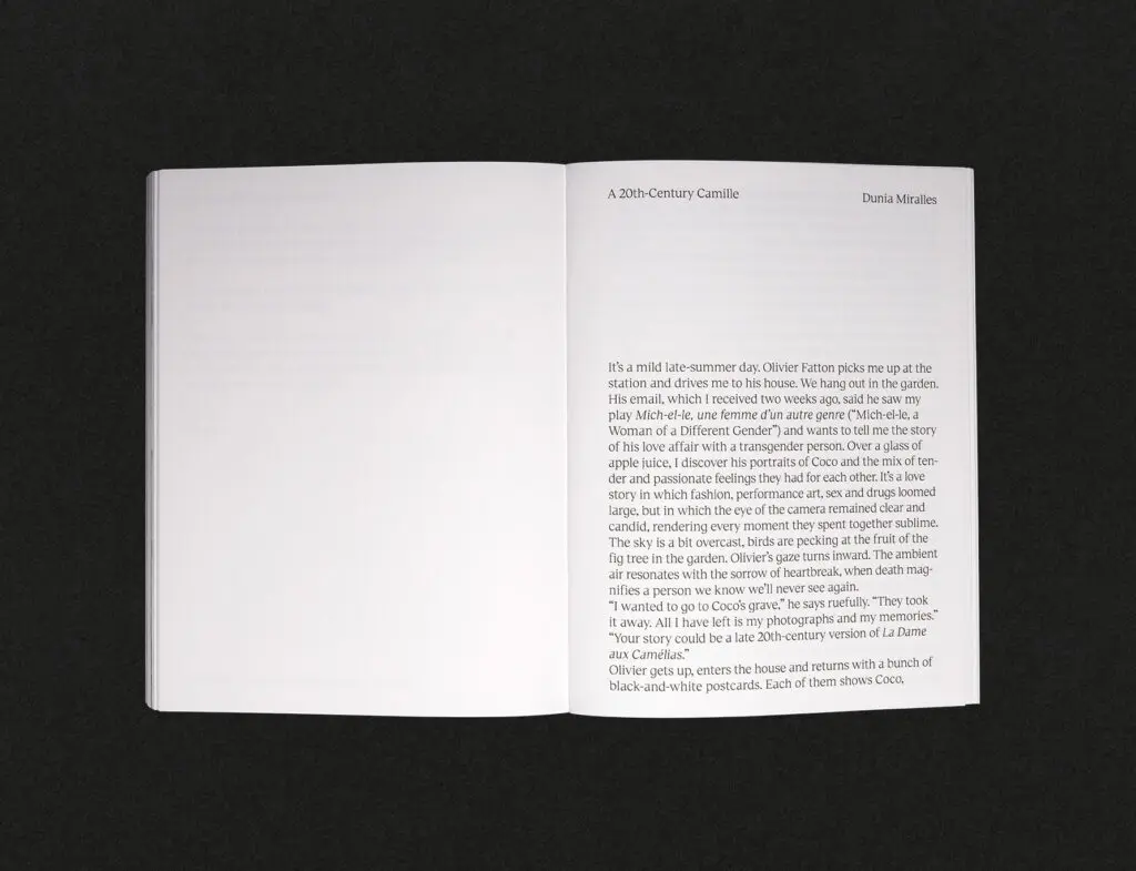 layout_coco_06
