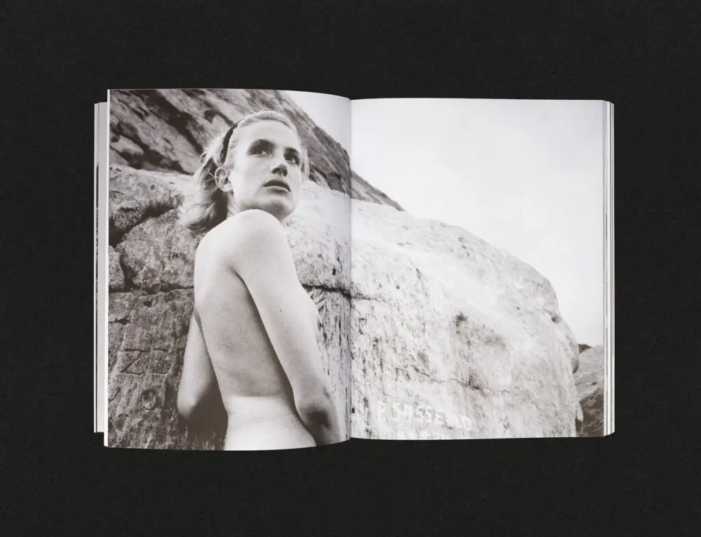 layout_coco_10