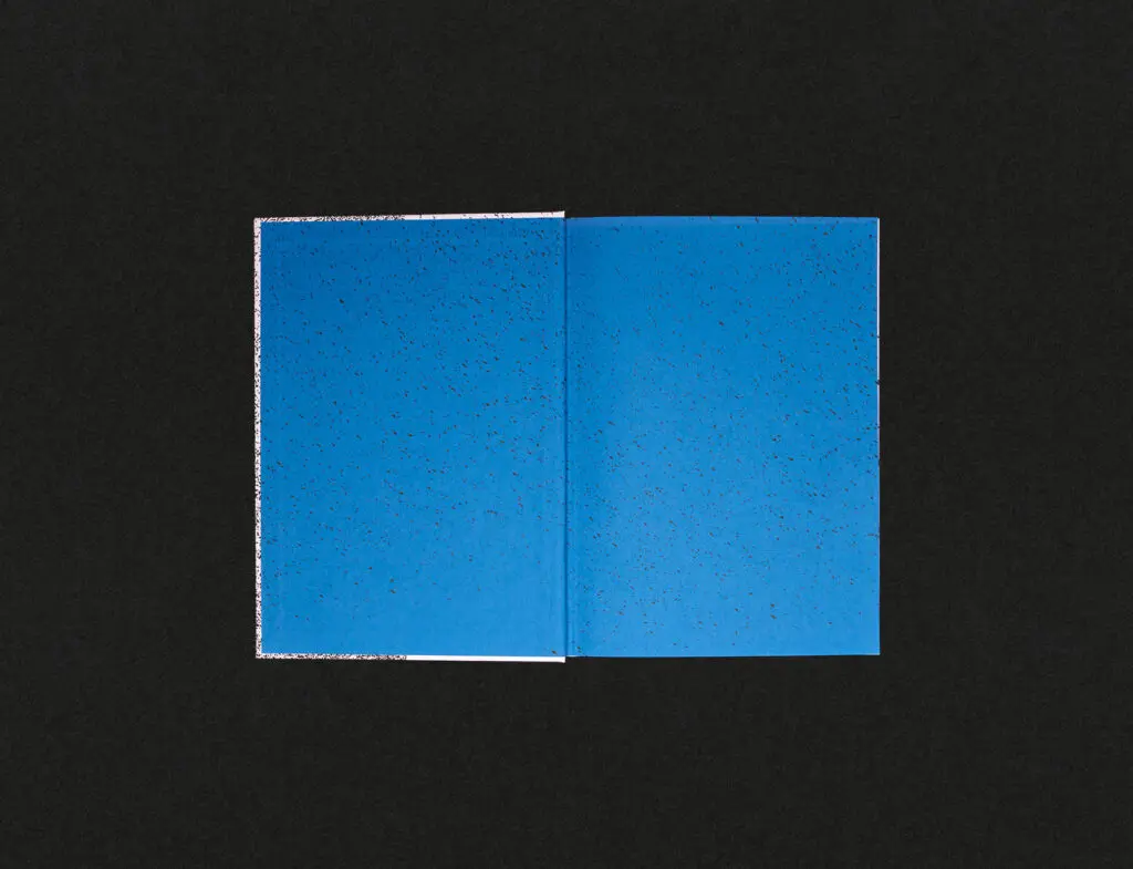 layout_luca_02