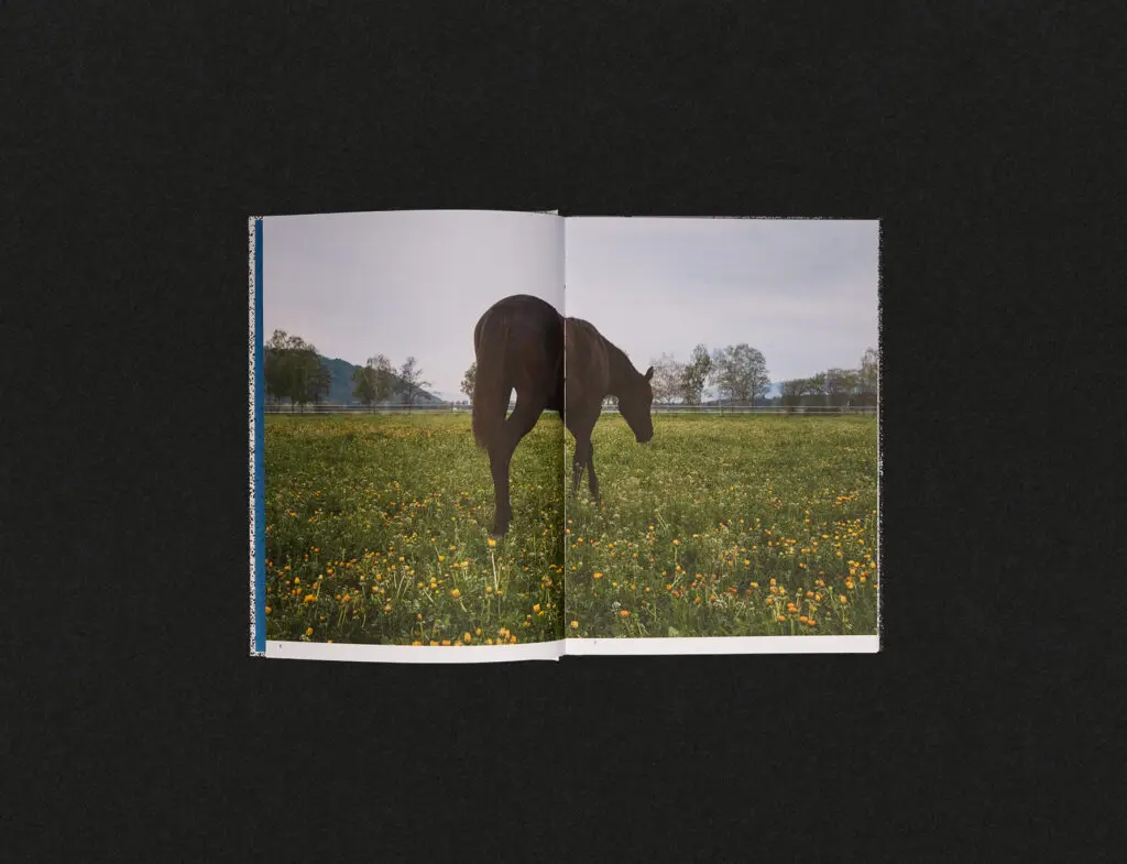 layout_luca_04